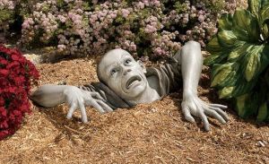 Curiosities and bonus pictures