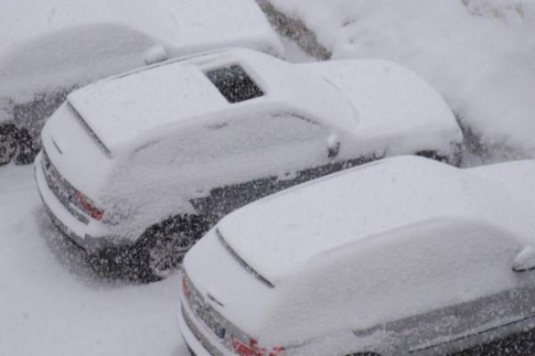 Bad Situations for Car Owners (6 pics)