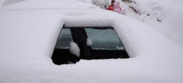 Bad Situations for Car Owners (6 pics)