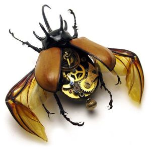 Curiosities and bonus pictures