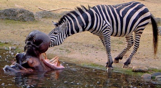 Daily picdump (164 pics)