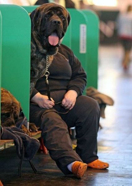 Daily picdump (173 pics)