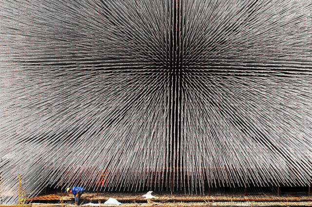 Unique 2010 Expo Seed Cathedral (14 pics)