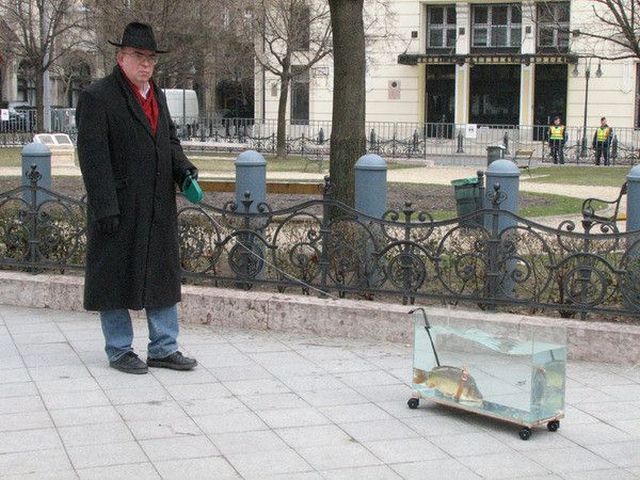 Daily picdump (124 pics)