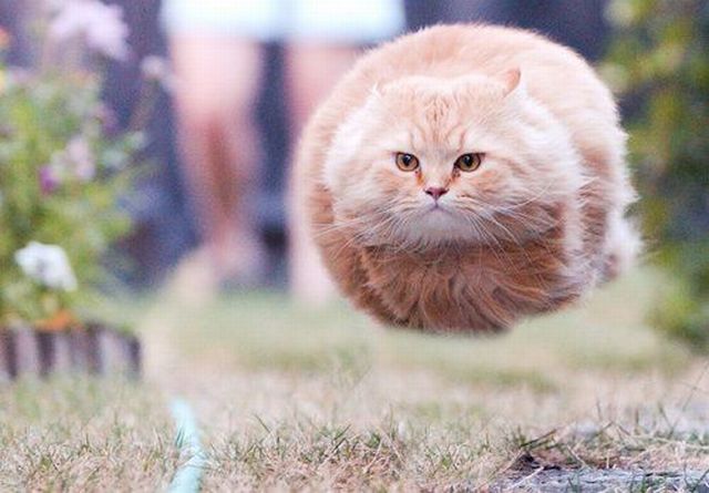 Daily picdump (138 pics)