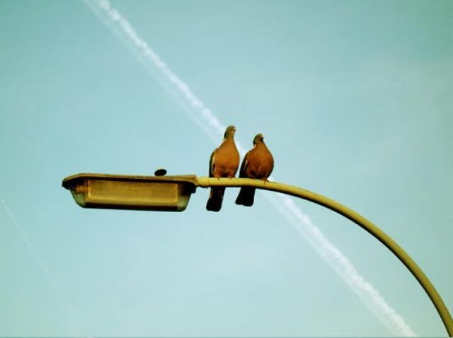 Spring is here and so is Love (3 pics)