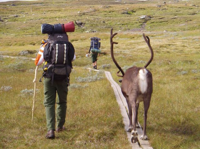 Daily picdump (168 pics)