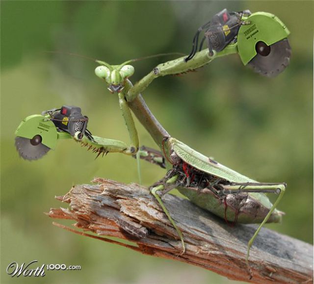 Futuristic Animals (43 pics)
