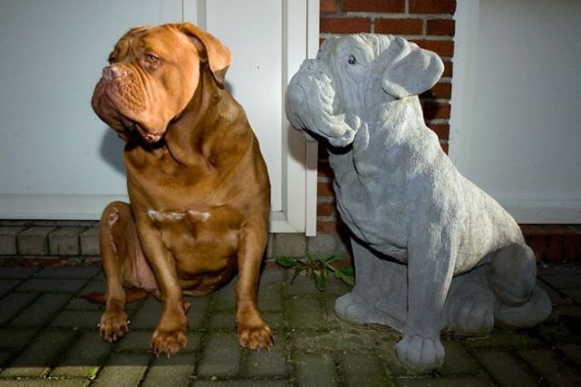 Daily picdump (138 pics)