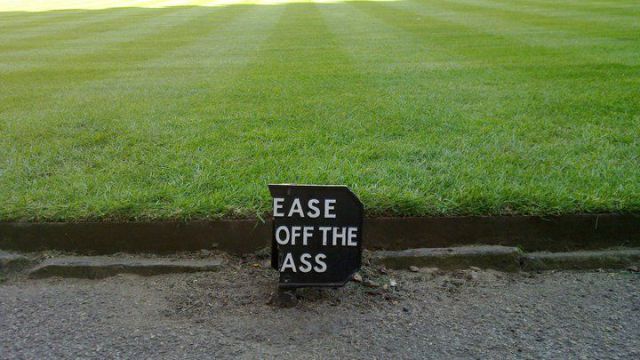 Daily picdump (157 pics)