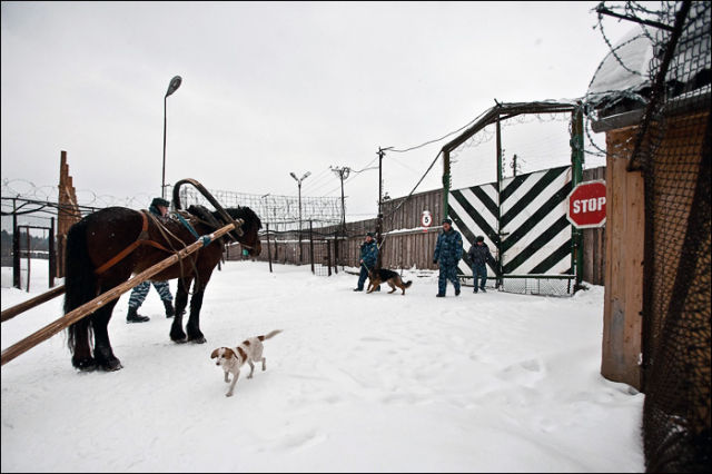 High Security Penal Colony in Russia (89 pics)