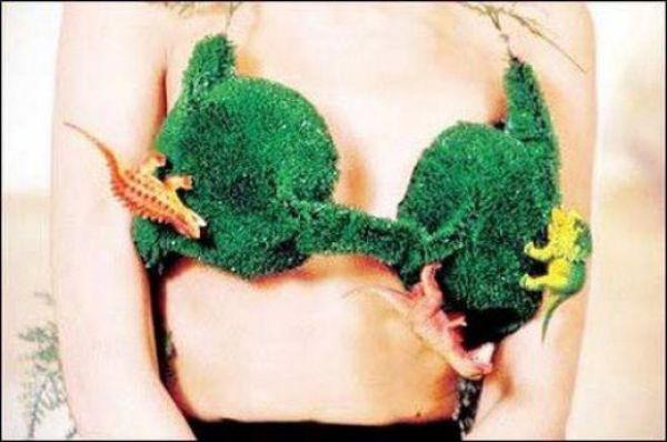 The Most Unusual Bra Designs (51 pics)