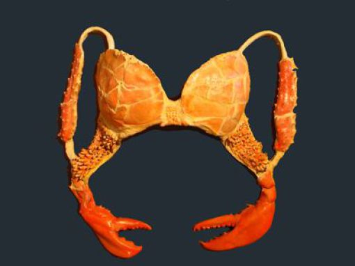 The Most Unusual Bra Designs (51 pics)