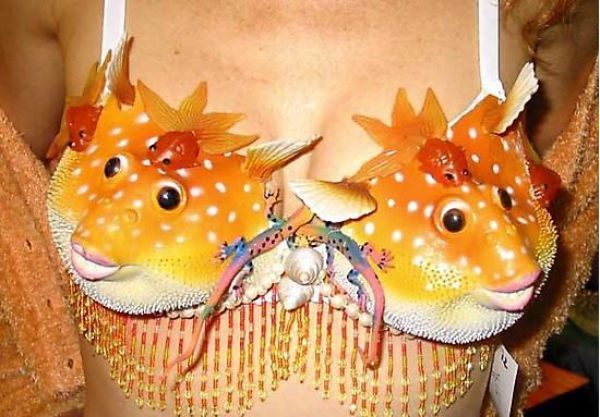The Most Unusual Bra Designs (51 pics)