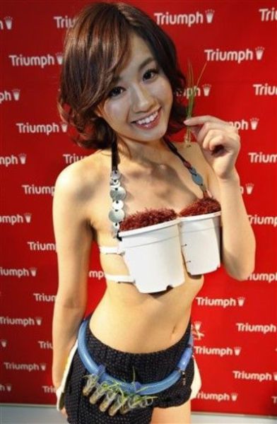 The Most Unusual Bra Designs (51 pics)