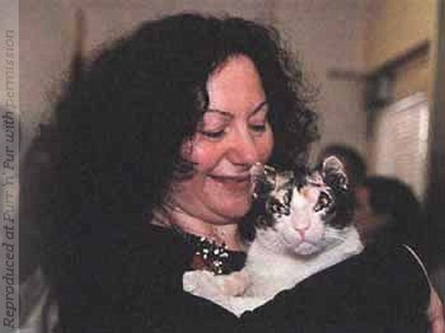 [Image: cat_a_mother_640_01.jpg]
