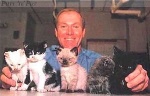 [Image: cat_a_mother_640_02.jpg]