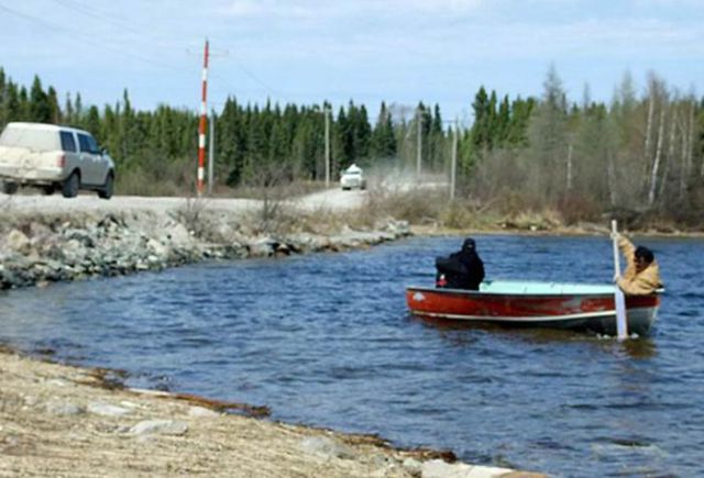 A Mysterious Beast Found in Canada (6 pics) A Mysterious Beast Found in Canada (6 pics)