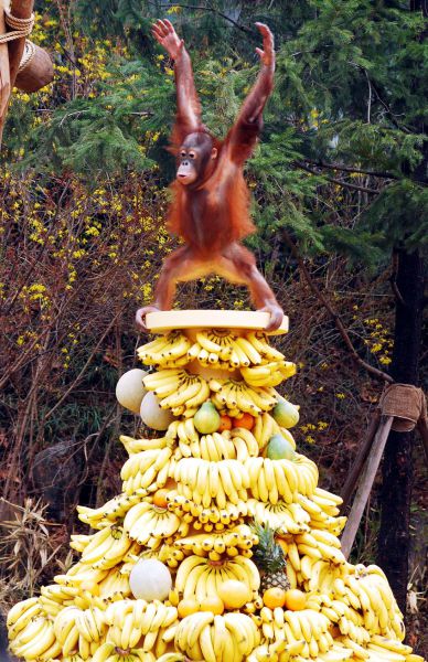 [Image: daily_picdump_423_640_140.jpg]