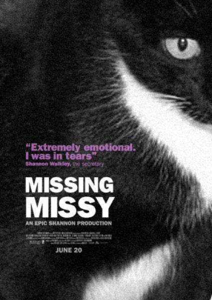 hilarious_missing_cat_640_09.jpg