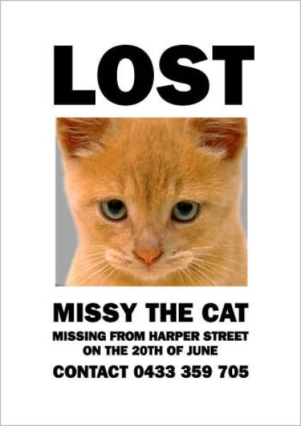 hilarious_missing_cat_640_13.jpg