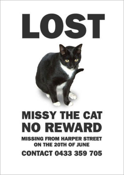 hilarious_missing_cat_640_18.jpg