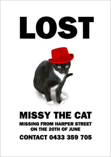 hilarious_missing_cat_640_20.jpg