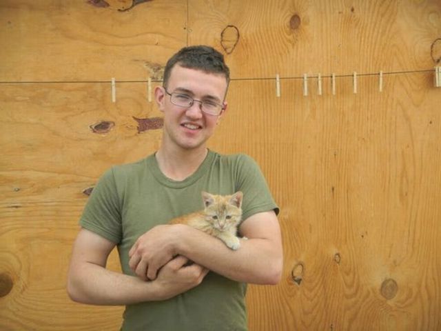 Afghanistan Kittens Move to the USA (21  pics)