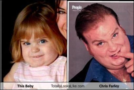 Funny Look Alikes. Part 2 (46 pics)