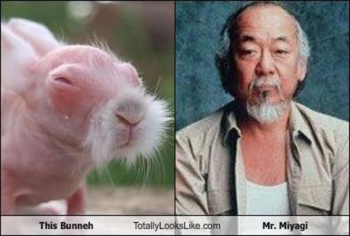 Funny Look Alikes. Part 2 (46 pics)