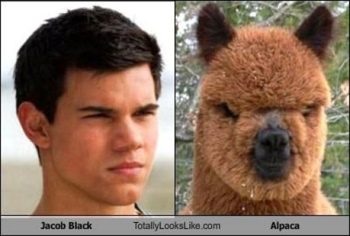 Funny Look Alikes. Part 2 (46 pics)