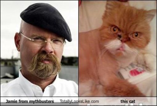 Funny Look Alikes. Part 2 (46 pics)