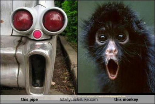 Funny Look Alikes. Part 2 (46 pics)