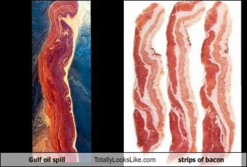 Funny Look Alikes. Part 2 (46 pics)