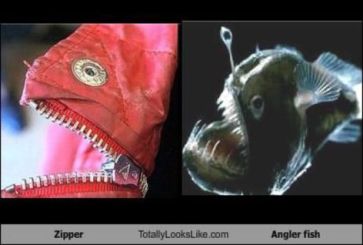 Funny Look Alikes. Part 2 (46 pics)