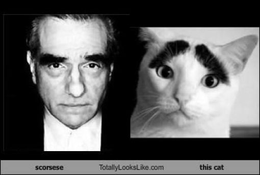 Funny Look Alikes. Part 2 (46 pics)