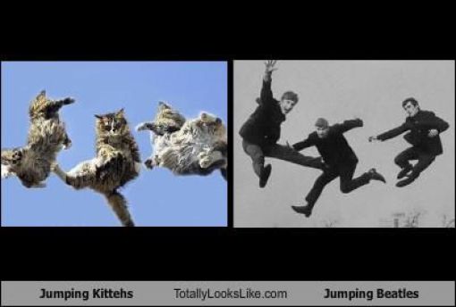 Funny Look Alikes. Part 2 (46 pics)