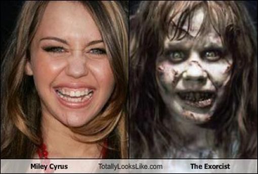 Funny Look Alikes. Part 2 (46 pics)