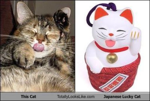 Funny Look Alikes. Part 2 (46 pics)
