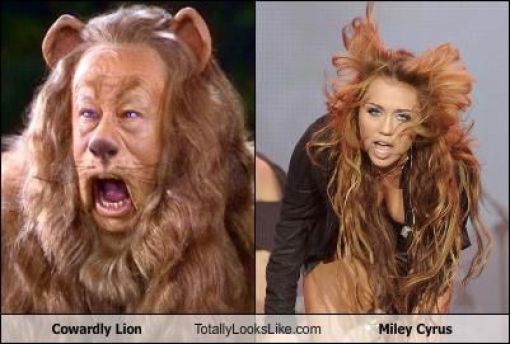Funny Look Alikes. Part 2 (46 pics)