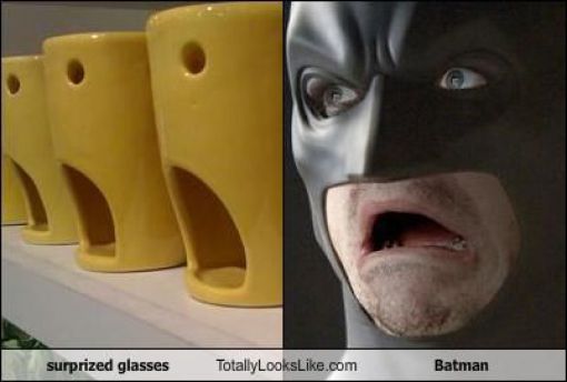 Funny Look Alikes. Part 2 (46 pics)
