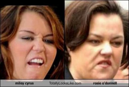 Funny Look Alikes. Part 2 (46 pics)