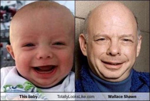 Funny Look Alikes. Part 2 (46 pics)