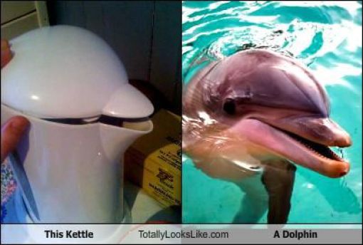 Funny Look Alikes. Part 2 (46 pics)