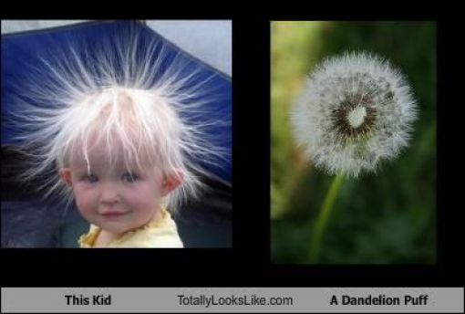 Funny Look Alikes. Part 2 (46 pics)