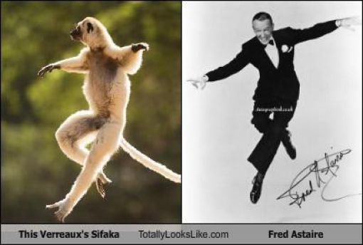 Funny Look Alikes. Part 2 (46 pics)