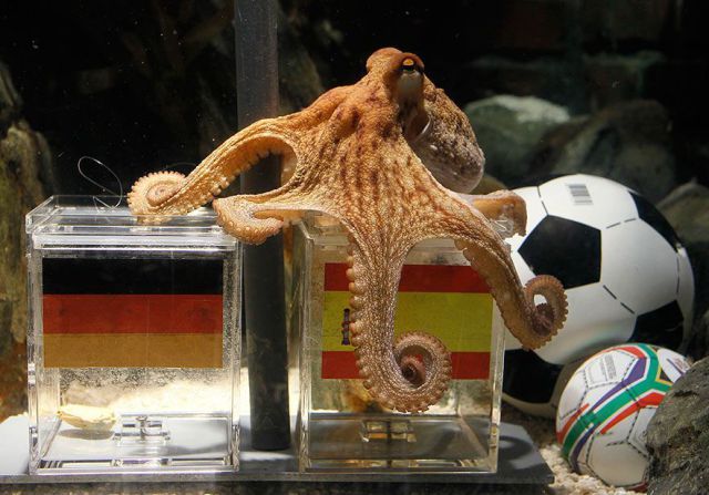 daily_picdump_450_640_06.jpg