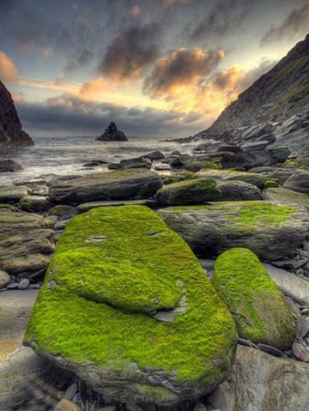 Brilliant Pictures (90 pics) Brilliant Pictures (90 pics)