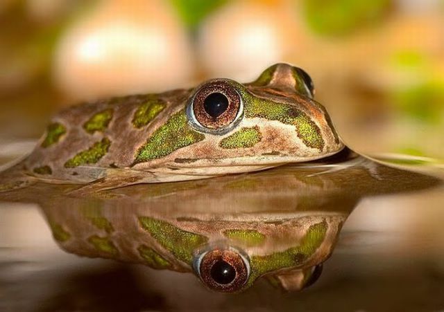 Brilliant Pictures (90 pics) Brilliant Pictures (90 pics)