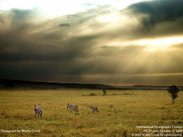 Brilliant Pictures (90 pics) Brilliant Pictures (90 pics)